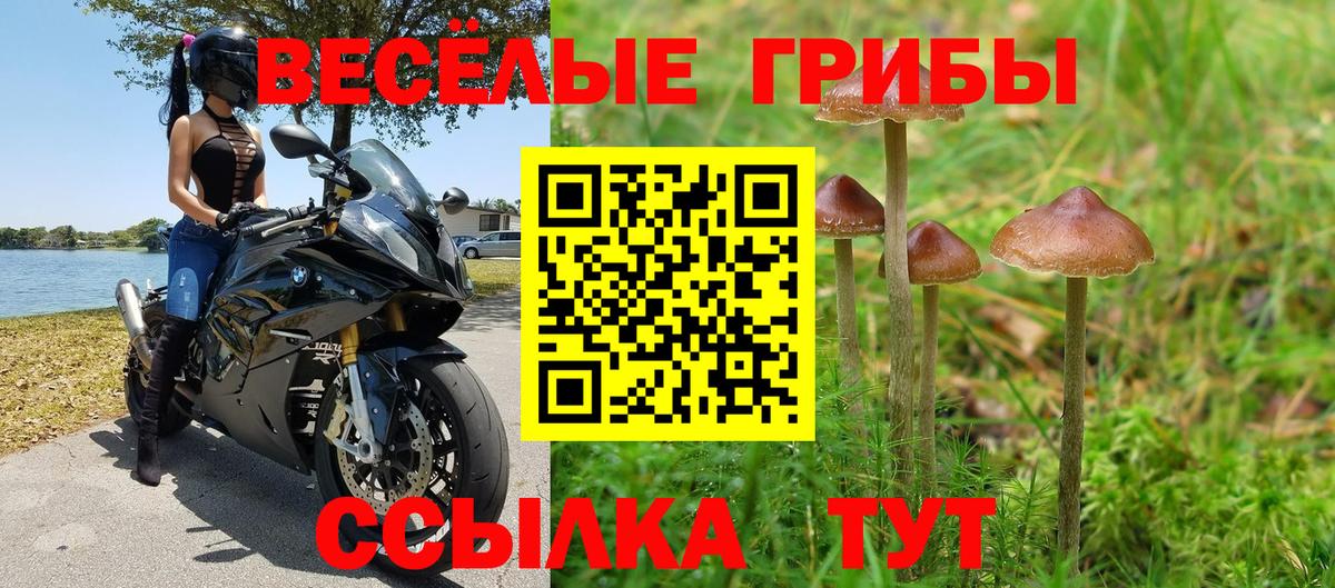 Советская Гавань  Галлюциногенные грибы ЛСД  Вход с VPN  как найти   Псилоцибиновые грибы GOLDEN TEACHER 