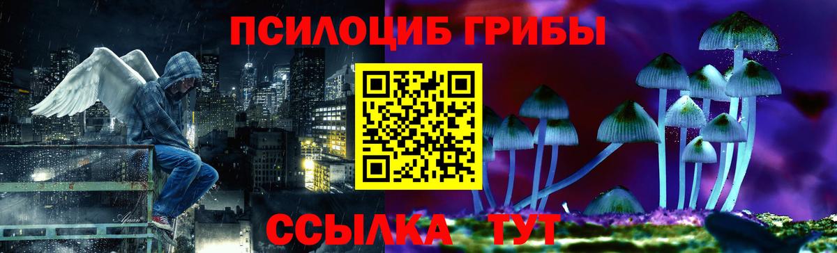 Псилоцибиновые грибы GOLDEN TEACHER Советская Гавань